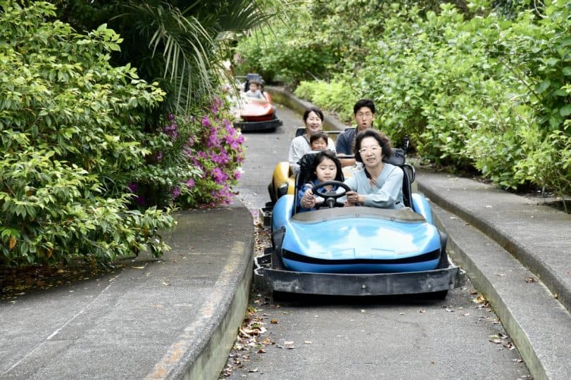 Oshima Island's Perfect Guide: Must-see spots, Activities, Accommodation and Access, izu islands, Tokyo Islands, Tokyo, Japan, tokyo travel, Japan travel, volcanic island, tsubaki hana garden, go kart