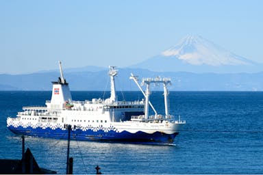 By large ferry from Tokyo