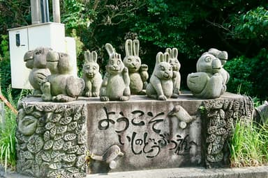 Stone zoo