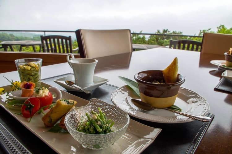mashio, accommodation, petit hotel, izu oshima, oshima island, tokyo islands, izu islands, tokyo, japan, dinner, living room