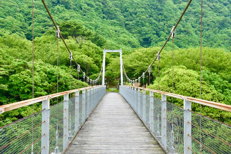 umi-no-furusato mura, campsites, camp ground, camping, oshima, izuoshima, tokyo, japan, tokyoislands, izuislands