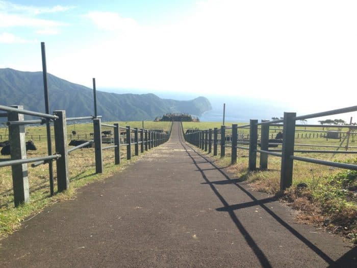 Hachijojima Travel