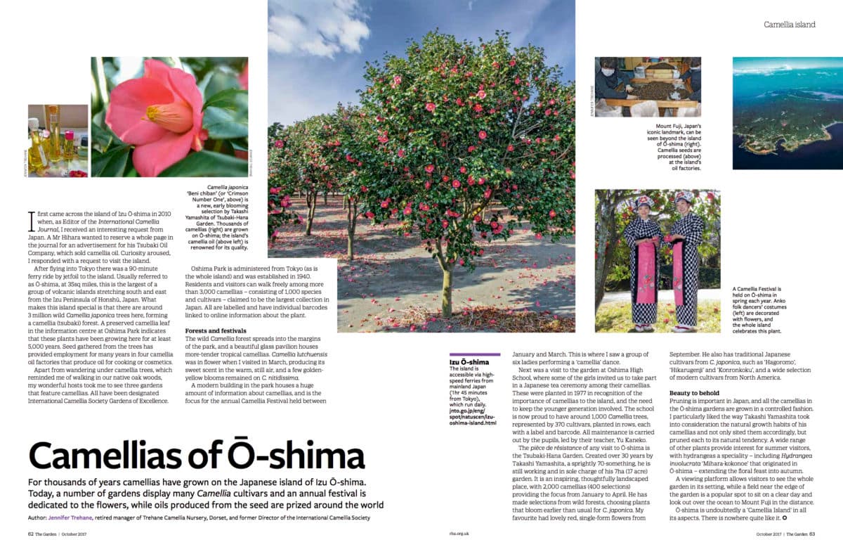 The_garden, Camelias of Oshima