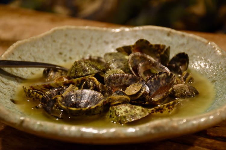 shell, Cellana toreuma, seseri, oshima, izuoshima, oshima's speciality, tokyo, japan, tokyo islands, izu islands