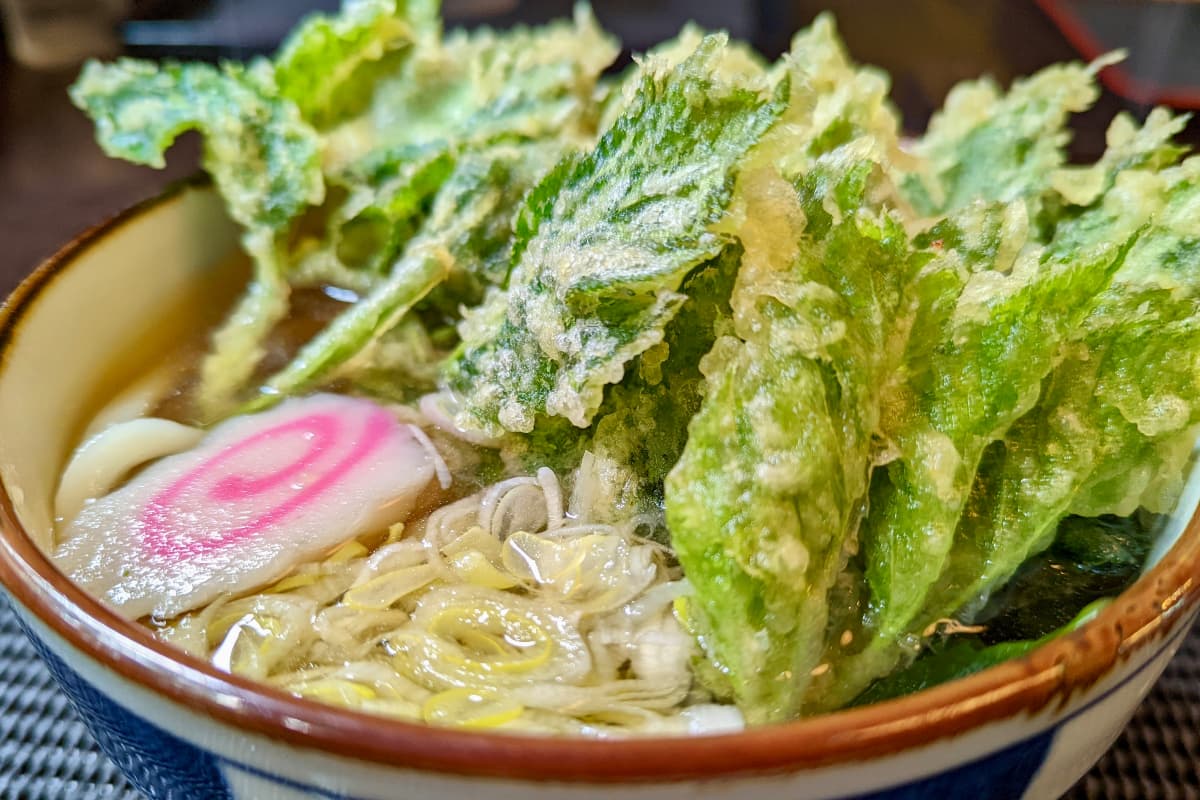 Angelica leaves (Ashitaba leaves)