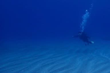 Snorkeling on Oshima