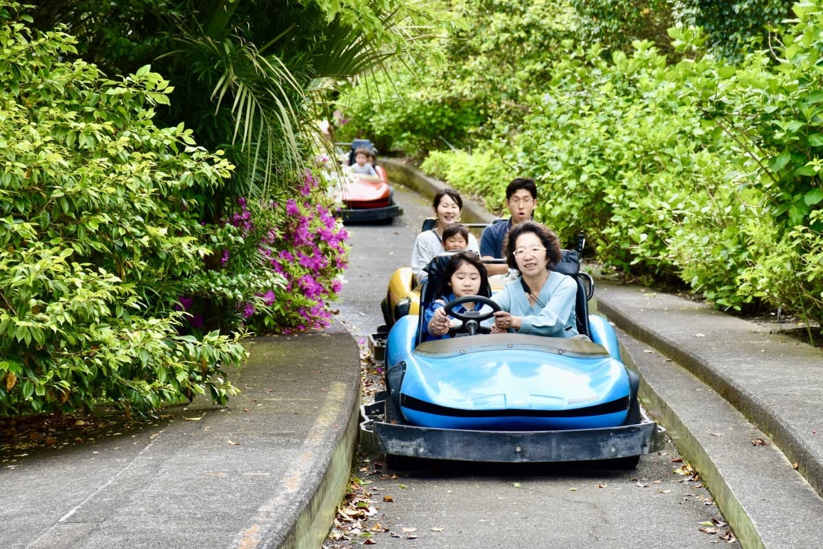 Rabbit Forest & Go-Karts: Camellia Flower Garden with Camellia and Seasonal Flowers in Oshima island, the Izu islands, Tokyo, Japan