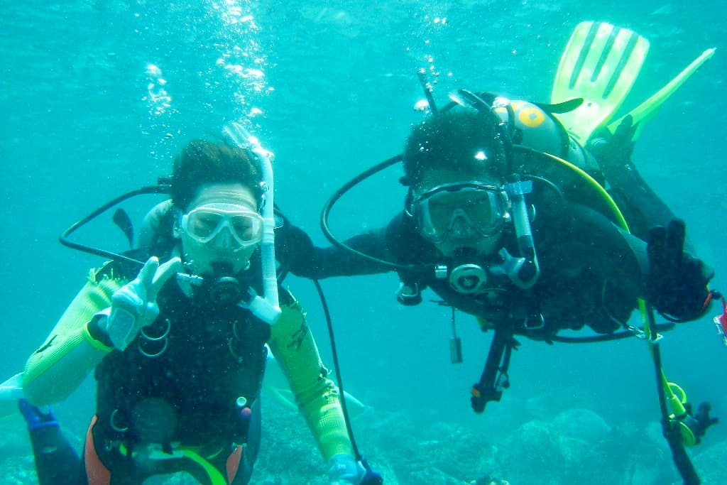 Orange Fish: Scuba diving & snorkeling tours, Eco & Nature tours and Stargazing Tours, oshima island, izu islands, tokyo, japan, tokyo travel, japan travel, izu oshima