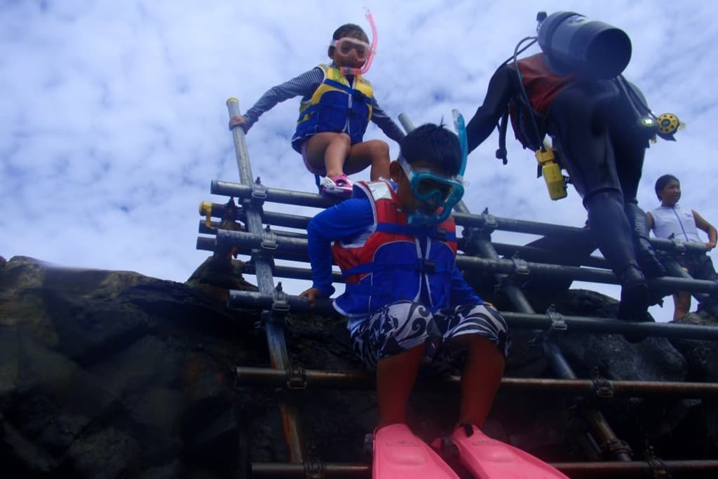 Orange Fish: Scuba diving & snorkeling tours, Eco & Nature tours and Stargazing Tours, oshima island, izu islands, tokyo, japan, tokyo travel, japan travel, izu oshima