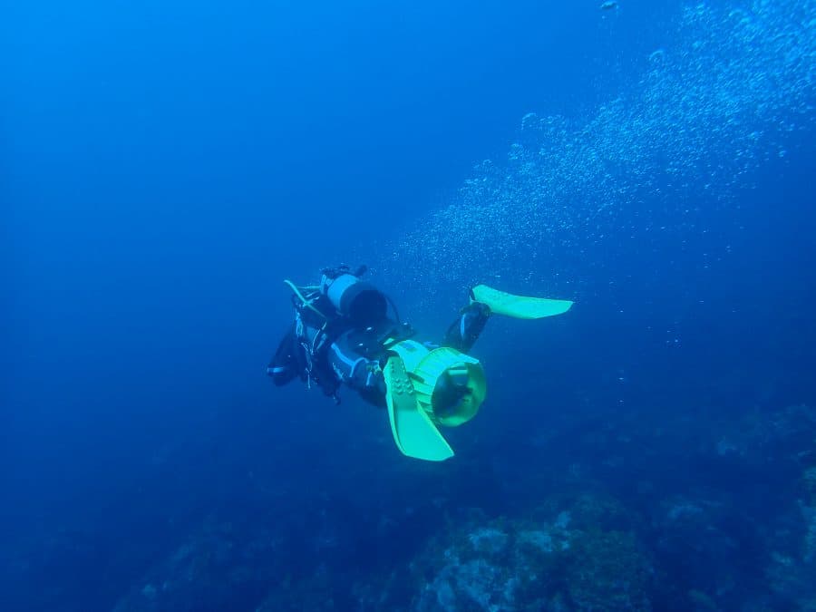 Yellow dive, scuba diving shop, snorkeling, Oshima Island, Izu Islands, Tokyo Islands