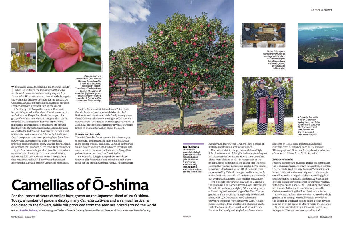 The_garden, Camelias of Oshima