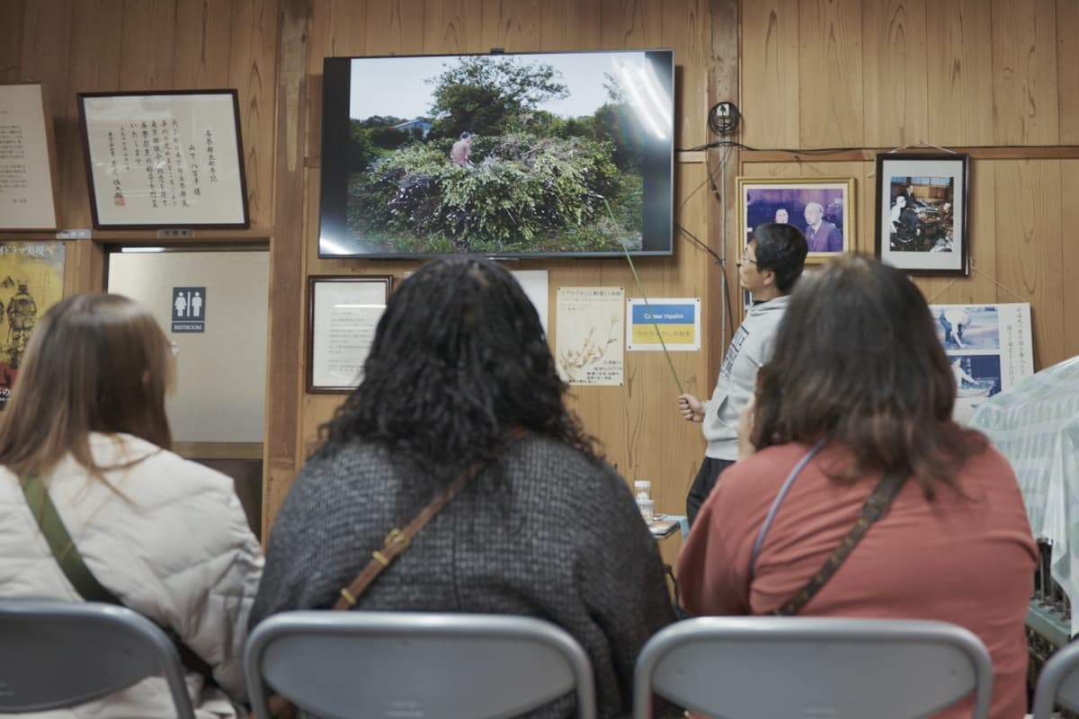 hachijojima, island hopping, tour, fam trip, Charted Business Jet, helicopter, tokyo islands, izu islands, tokyo, japan, tokyo travel, japan travel, kihachijo, meyu workshop, Japanese silk
