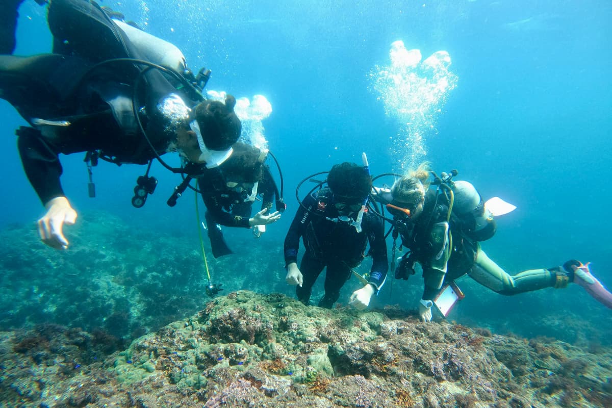 scuba diving, snorkeling, izu oshima island, tokyo, japan, Pension Ichi Maru Ichi, Sea Honet D.C, accommodation, meals, pickup, Diving Experience, Discover Scuba Diving, Introductory diving