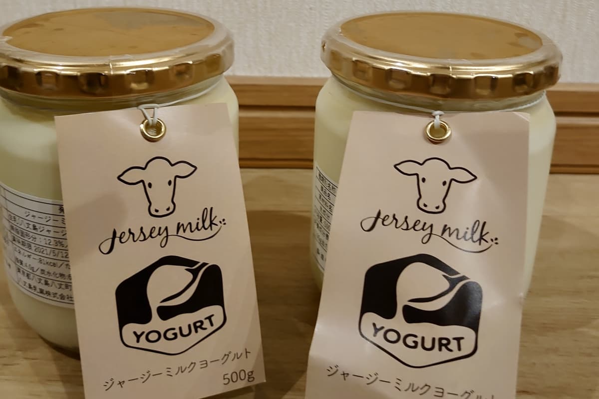 hachijojima island, jersey, cafe, the flagship cafe, jersey dairy farm, tokyo islands, izu islands, jersey cows, tokyo, japan, Hachijojima jersey milk yogurt
