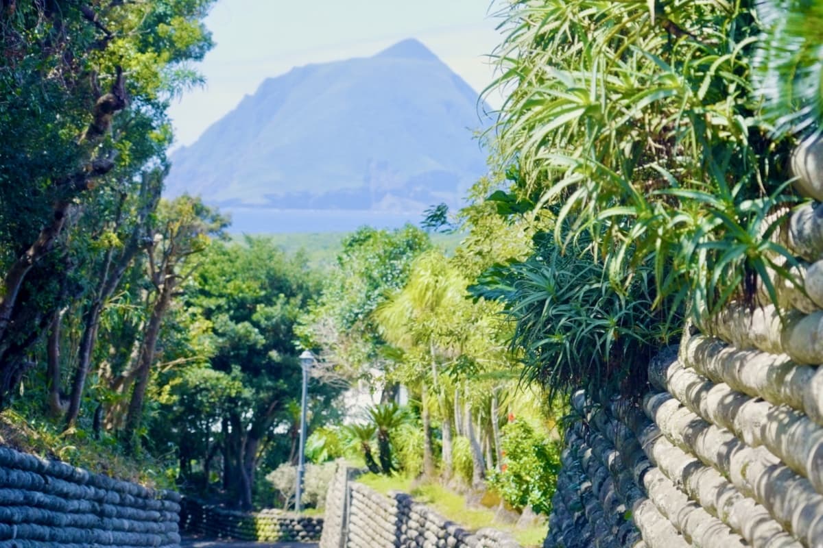 Private Jet Island Hopping to Tokyo’s Wild Side: A 3-Night Journey to Hachijojima & Oshima, Tokyo Islands, Izu Islands, Tokyo, Japan