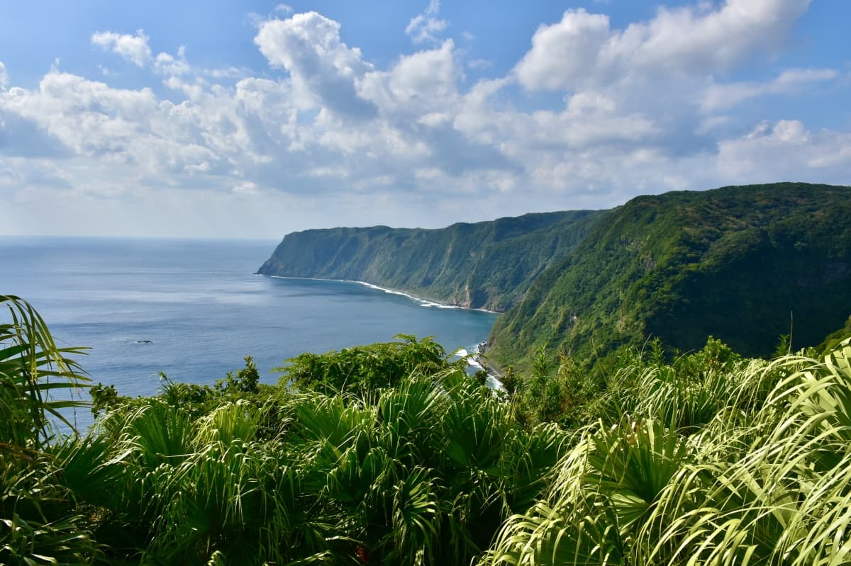 The Tokyo Islands A Volcanic World Just Beyond Tokyo, izu islands, tokyo, japan, near Tokyo, close to Tokyo, day trip, short trip, adventure, nako