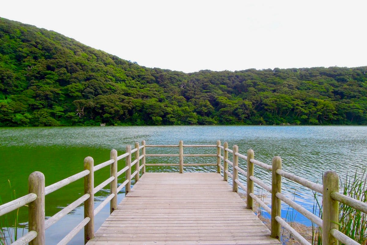 Tairo Pond – A Place Where Wild Birds Gather